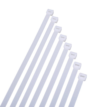 Nylon Cable Zip Ties 100mm Pack of 10