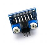 TECNOULAB 2 Schede Amplificatore PAM8406 5Wx2 Stereo Con Potenziometro Volume