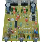 TDA7297 Double IC Board