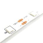 12V DC RGB 4040 LED Strip 3.5 Meter - Image 2